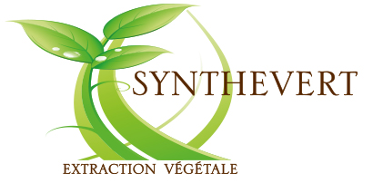 Synthevert Logo